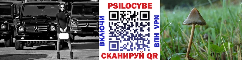 нарко площадка формула  Похвистнево  Галлюциногенные грибы Cubensis 